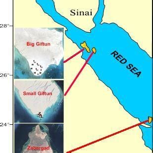 Location map of the studied Islands on the Red Sea, Egypt. | Download ...