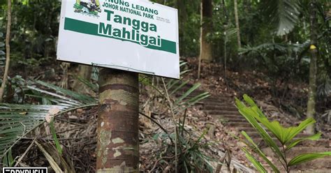 Gunung Ledang National Park | Malaysia