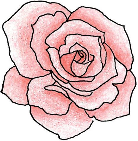 Rose Flower Outline Clipart - Free to use Clip Art Resource - ClipArt ...