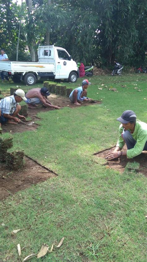 Rumput lapangan sepak bola untuk lapangan kampus universitas Juni Tahun ...