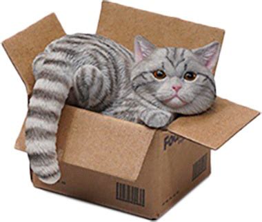 Small Cat in the Cardboard Box 3.0 C | HLJ.com