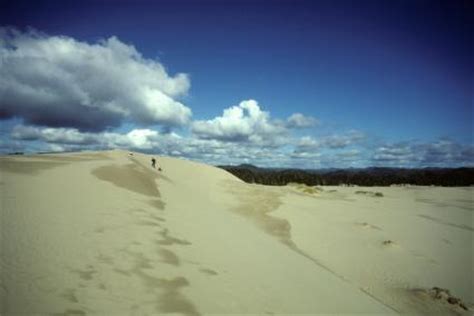 Oregon Dunes Camping | LoveToKnow