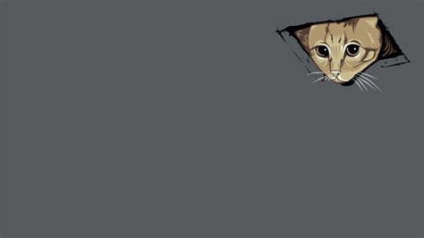 Funny Zoom Background Cats | Images and Photos finder