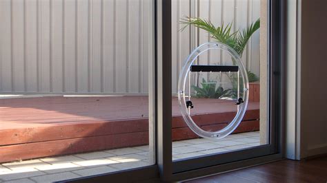 How To Install Dog Door In Sliding Glass - Glass Door Ideas