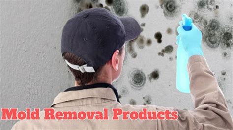 Mold Removal Products - Mold Guide 101