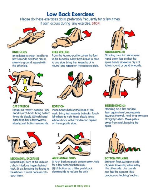 1000+ images about lower back pain on Pinterest | Massage, Knee ...