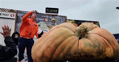 Record-breaking pumpkin named world's largest ever at California weigh-off