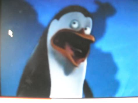 Kowalski screaming - Penguins of Madagascar Photo (13291273) - Fanpop