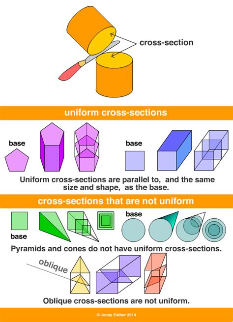 Cross Section Worksheet Cross Sections Of 3d Shapes Workshee