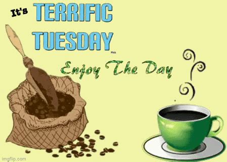 Terrific Tuesday GIF - Terrific tuesday - Discover & Share GIFs