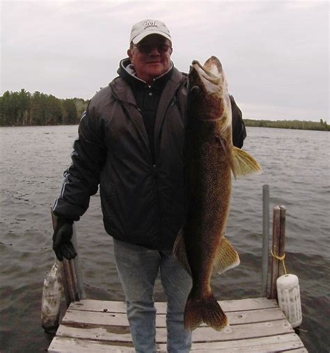 Minnesota Walleye Fishing Resort