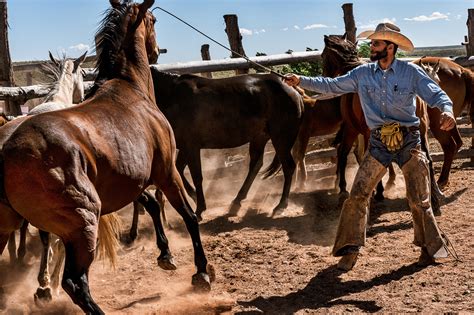 Babbitt Ranch Cowboys Working on Behance