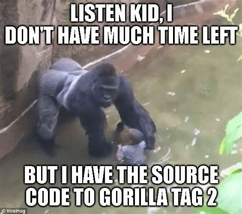 Gorilla tag meme : r/GorillaTag