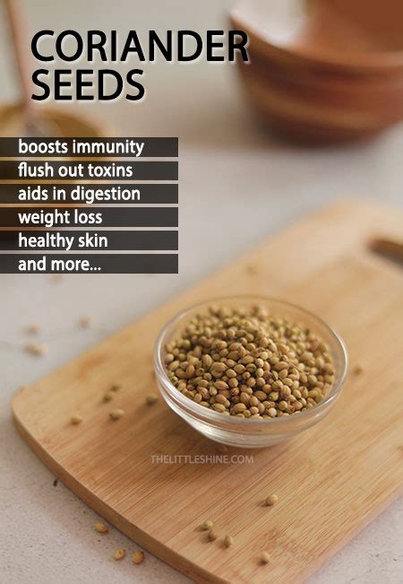 CORIANDER SEEDS BENEFITS AND USES - The Little Shine