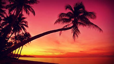 Tropical Beach Sunset Wallpapers - 4k, HD Tropical Beach Sunset ...