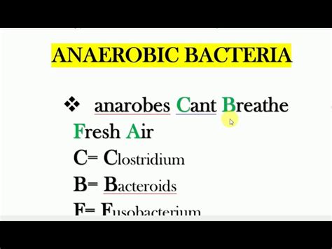 Anaerobic Vs Aerobic Bacteria