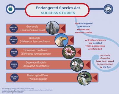 10 Easy Things You Can Do to Save Endangered Species - Endangered ...