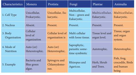 The Five Kingdom Classification