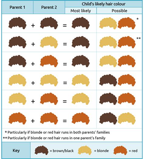 eye color chart genetics - genetic chart parents kids google search in ...