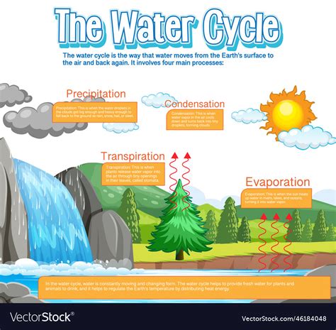 Water cycle diagram for science education Vector Image