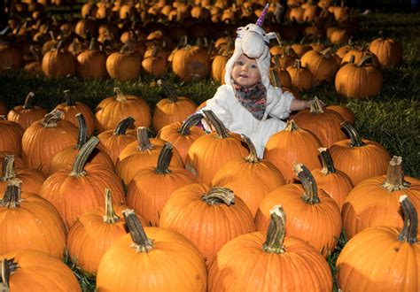 Boo at the Zoo | Lafayette, IN - Official Website