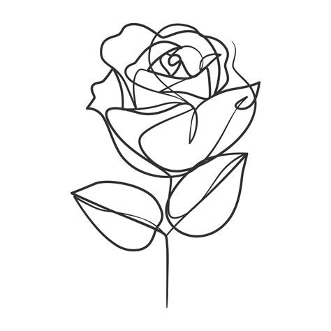 Rose Flower Outline Vector Art, Icons, and Graphics for Free Download