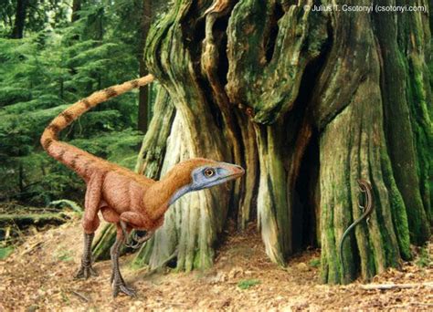 17 Best images about Archosauria - dinosauria on Pinterest | Fossil ...