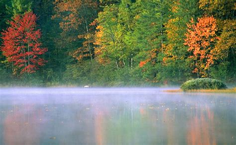 foggyautumnlake