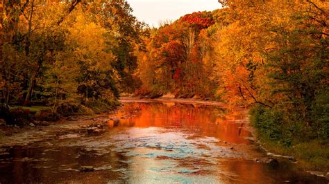 Beautiful Photography Of Fall