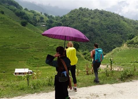 A Guide to The Best Trekking in Sapa Vietnam 2024 | Izitour