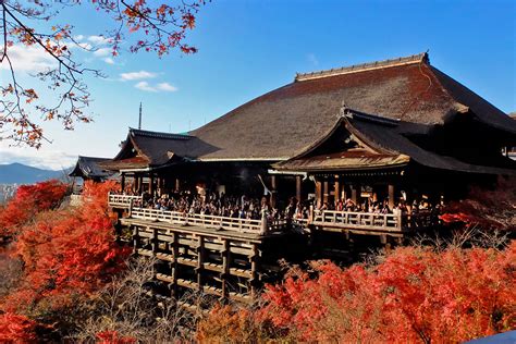 6 Best Temples to See Cherry Blossoms in Kyoto - Great Places in Kyoto ...