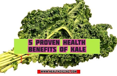 5 Proven Health Benefits Of Kale - www.healthzigzag.com - HealthZigZag