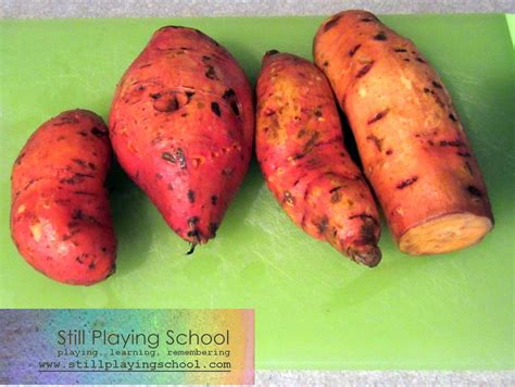 Sweet Potato Puree for Baby | Still Playing School