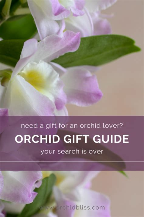 Orchid Lover's Gift Guide - ORCHID THEMED GIFTS - Orchid Bliss