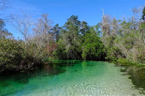 15 Best Things To Do in Spring Hill, FL You Shouldn't Miss - Florida ...