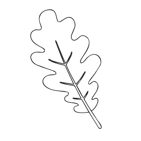 Simple Oak Leaf Template