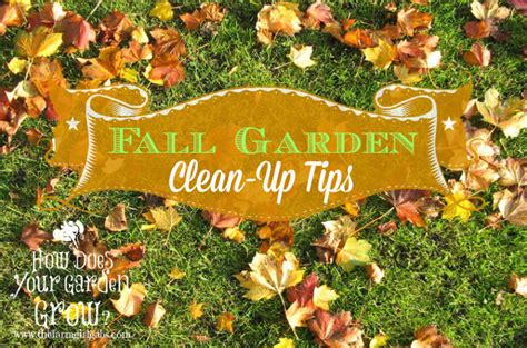 10 Fall Garden Clean-Up Tips - www.thefarmgirlgabs.com