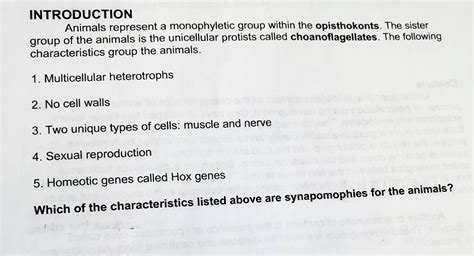 SOLVED: INTRODUCTION Animals represent a monophyletic group within the ...