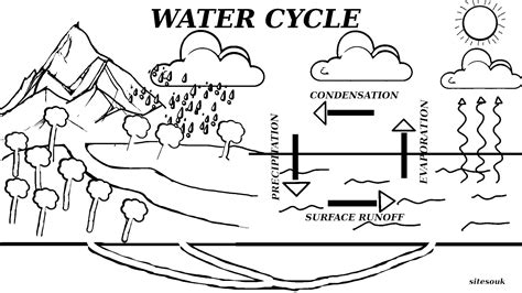 Label the Water Cycle Diagram - Worksheets Library