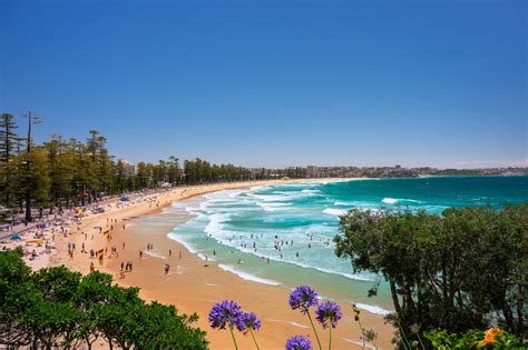 Manly Beach voted in top 25 worldwide | Destination NSW