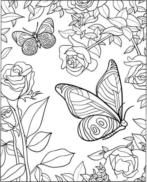 Advanced Coloring Pages Butterfly