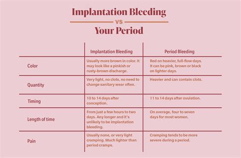 What Is Implantation Bleeding 29754 | The Best Porn Website