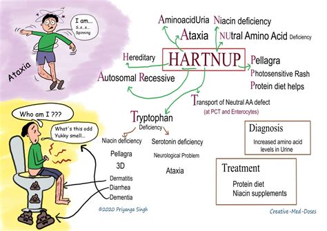 Hartnup disease: tryptophan deficit - Creative Med Doses