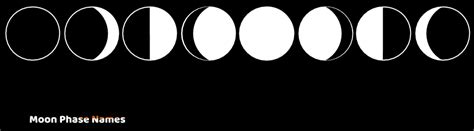 Moon Phases and Eclipses Diagram | Quizlet