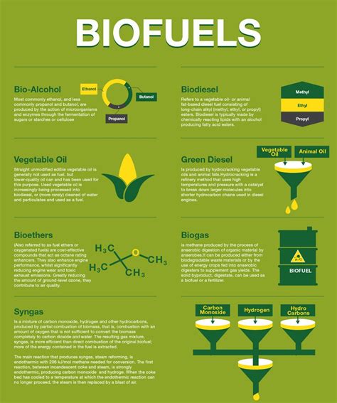 Bio Fuels | Visual.ly | Biomass energy, Renewable sources of energy ...