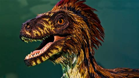 Velociraptor Feathers Discovery