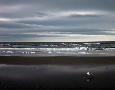 Joe's Retirement Blog: Stormy Weather, Isle of Palms, South Carolina, USA