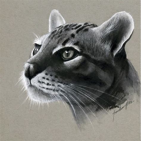 Realistic Drawings - Beautiful and Realistic Pencil Drawings - XciteFun.net