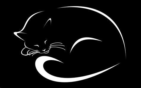 Gambar Kucing Hitam Wallpaper