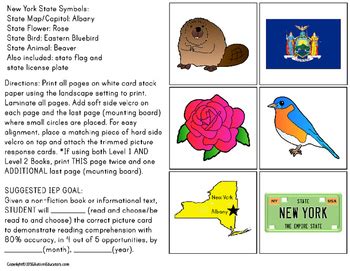 NEW YORK State Symbols ADAPTED BOOK for Special Education and Autism